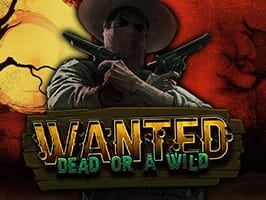Wanted Dead or a Wild
